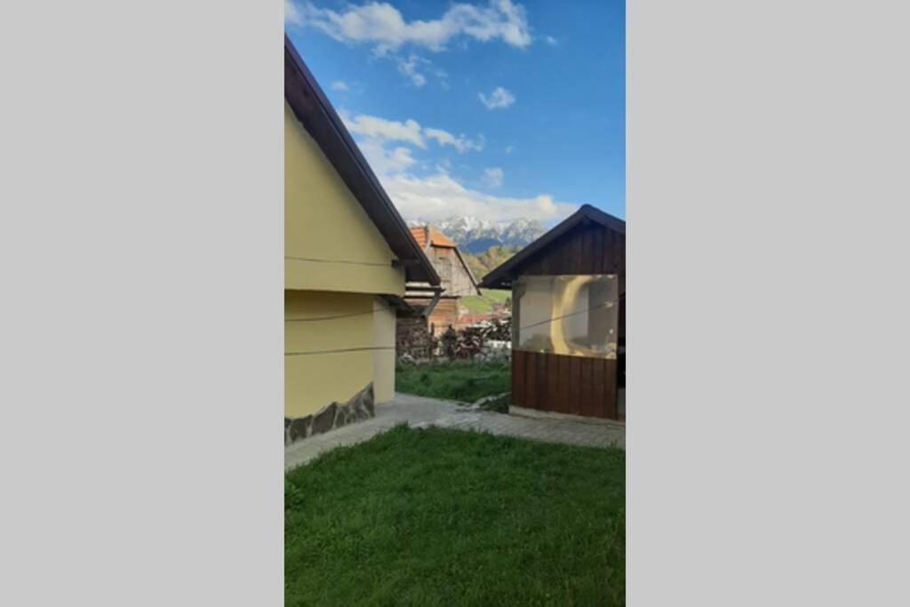 Casa In Curte La Zavate Villa Bran  Ngoại thất bức ảnh